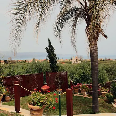 Palma * Maleme